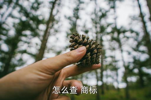 商标图形怎么查,如何查询商标模式近似值?