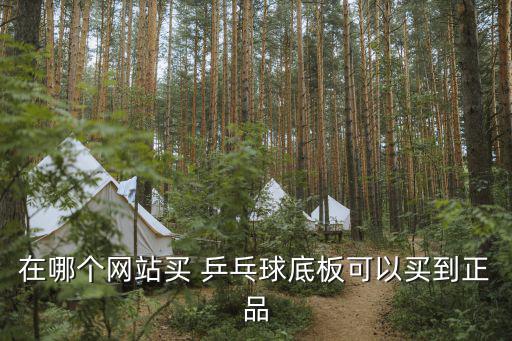 在哪个网站买 乒乓球底板可以买到正品