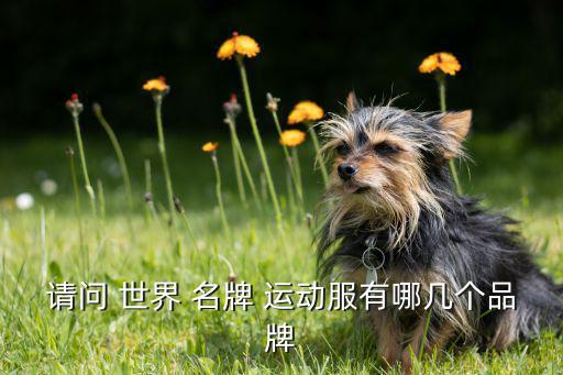世界名牌运动服标志,运动服装搭配什么样的?