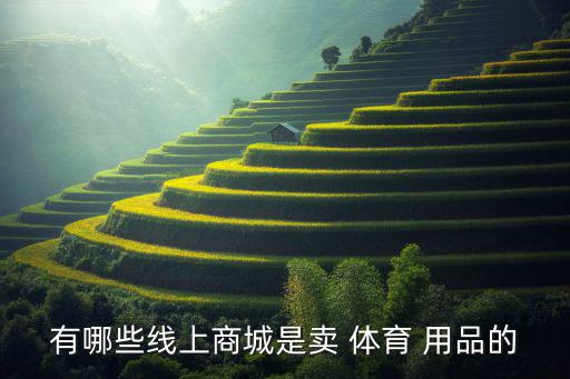 体育用品哪里买,体育用品店出售乒乓球器材和运动服装
