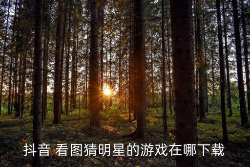 抖音 看图猜明星的游戏在哪下载
