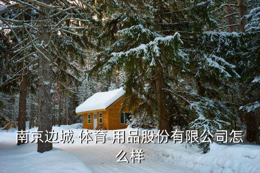 南京边城 体育 用品股份有限公司怎么样
