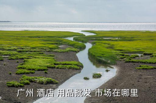 广州 酒店 用品批发 市场在哪里