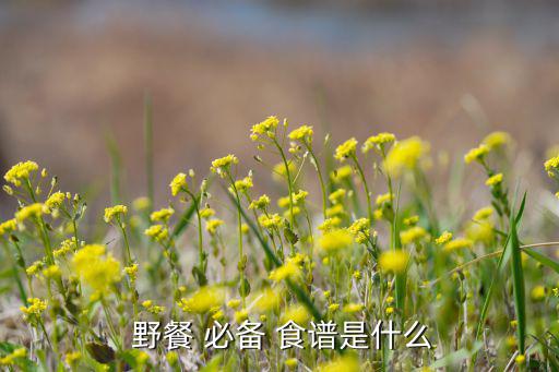 野餐必备30种食谱,野餐好处多注意事项