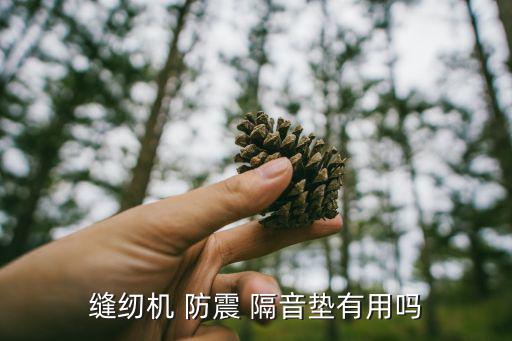 缝纫机 防震 隔音垫有用吗