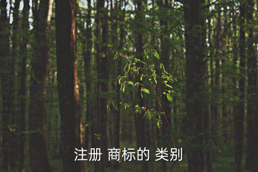 注册 商标的 类别
