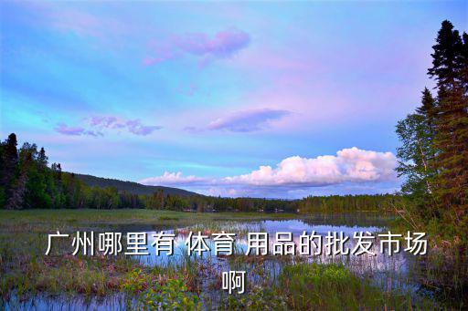海诚体育用品店怎么样广州,广州体育商城好家庭运动城