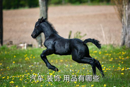 小汽车装饰用品大全集,汽车装饰包括哪些内容?