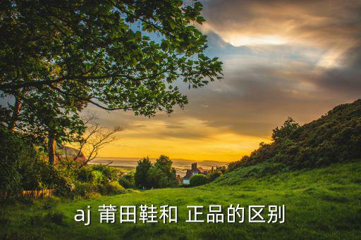 aj 莆田鞋和 正品的区别
