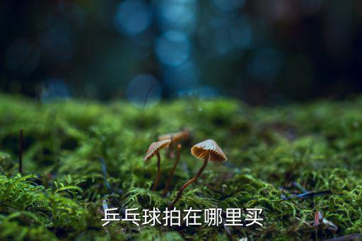 乒乓球胶皮哪里买,如何买到正版乒乓球?