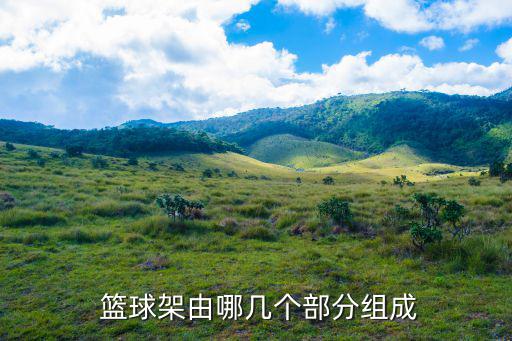  篮球架由哪几个部分组成