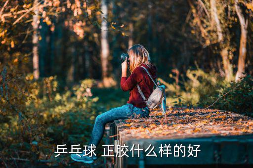 乒乓球正胶套胶排名,乒乓球胶打什么好的?