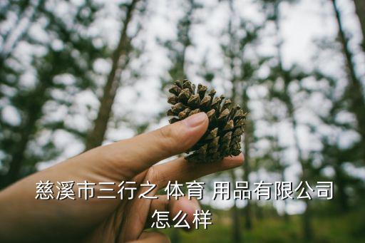 慈溪哪里有卖体育用品,三星体育用品有限公司登记证明文件出炉
