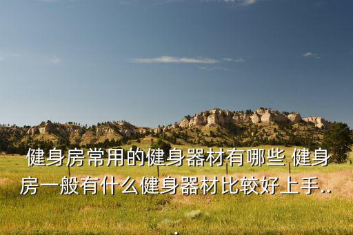  健身房常用的健身器材有哪些 健身房一般有什么健身器材比较好上手...