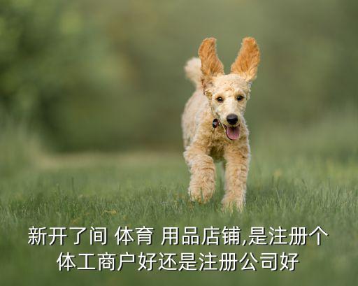 新开了间 体育 用品店铺,是注册个体工商户好还是注册公司好