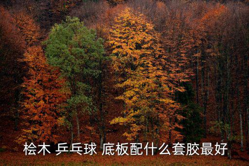 桧木乒乓球底板哪个品牌好,大品牌乒乓球拍哪个品牌最好拍?