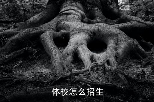 体校怎么招生