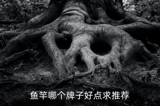 体育用品钓竿怎么选,如何挑选合适的海钓竿?
