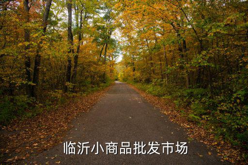  临沂小商品批发市场