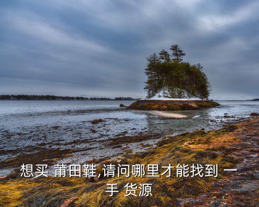 想买 莆田鞋,请问哪里才能找到 一手 货源