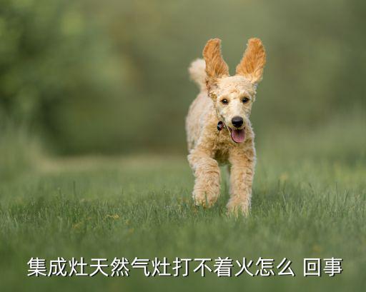 集成灶不好打火怎么回事,煤气灶打不着火电池有点弱?原因不明