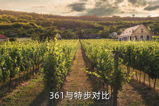 步远体育用品怎么样,特步鞋质量好穿着舒适耐磨耐磨