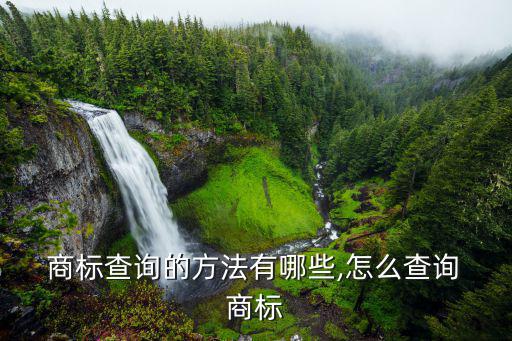 根据衣服商标怎么查品牌,如何查商标查询?