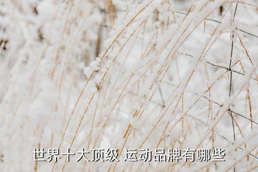 运动有关的公司名字大全,比赛激发梦想战斗磨砺锋芒第一集