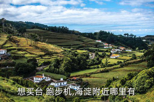 想买台 跑步机,海淀附近哪里有
