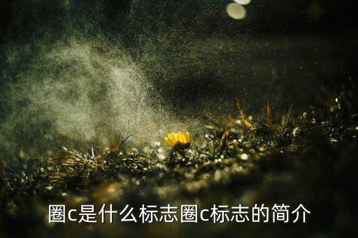 圈c是什么标志圈c标志的简介