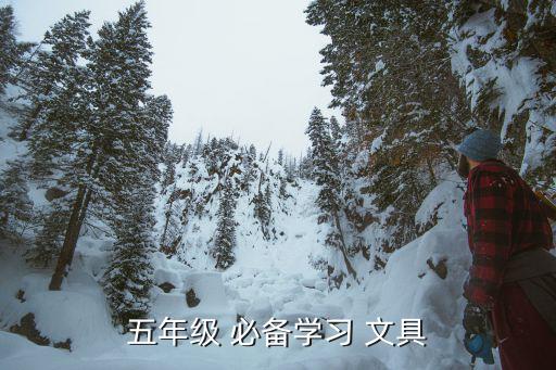 五年级 必备学习 文具