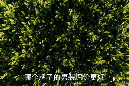 哪个牌子的男装评价更好