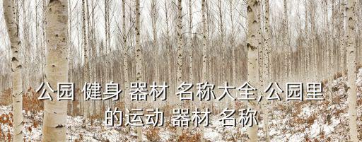 公园 健身 器材 名称大全,公园里的运动 器材 名称