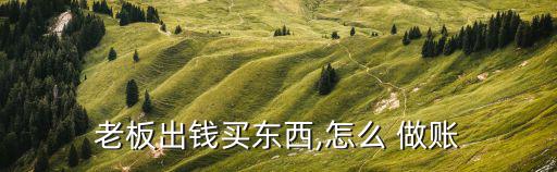 老板出钱买东西,怎么 做账