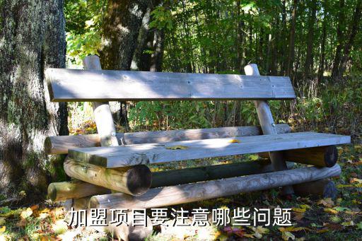 加盟项目要注意哪些问题
