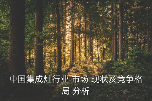 市场现状分析,分析某企业营销现状需要注意哪些事项?