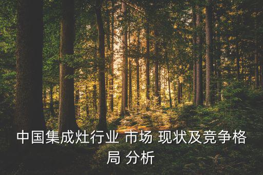 市场现状分析,分析某企业营销现状需要注意哪些事项?