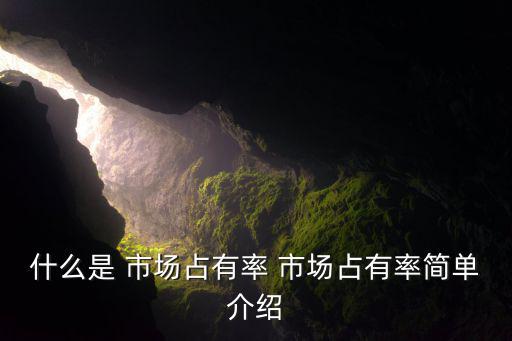市场占有率法怎么算,增加市场占有率可助降低单位产品成本