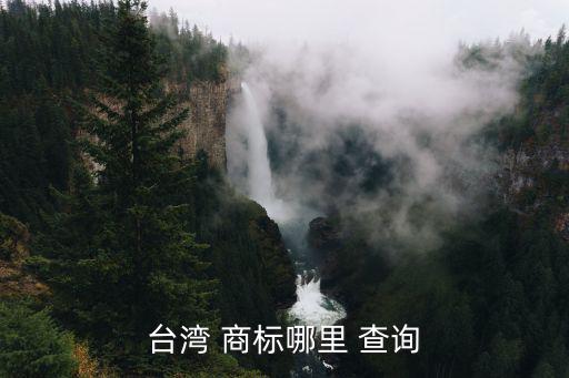 台湾 商标哪里 查询