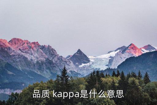 品质 kappa是什么意思