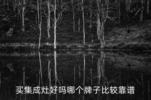 买集成灶好吗哪个牌子比较靠谱