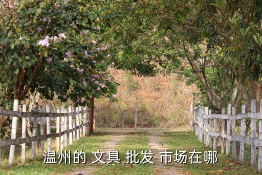 临海文具批发市场,温州文具批发市场哪里可以批发to文具?