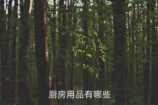  厨房用品有哪些