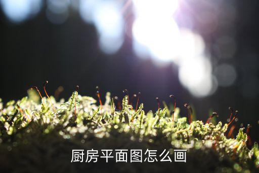 厨房平面图怎么画