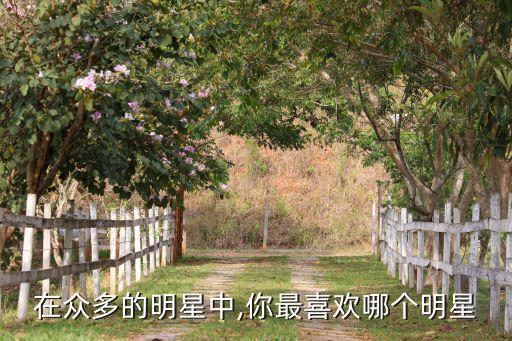 在众多的明星中,你最喜欢哪个明星
