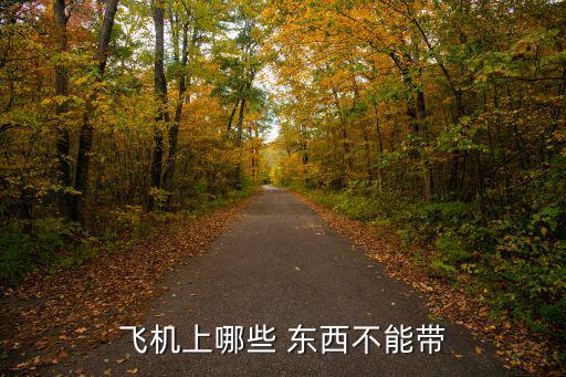 学校体育用品有哪些东西不能带,少量酒不能托运只能自行带回国