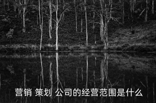  营销 策划 公司的经营范围是什么