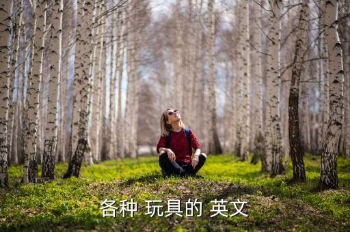 你有一些玩具小汽车吗英文怎么写,这些玩具的英文注释