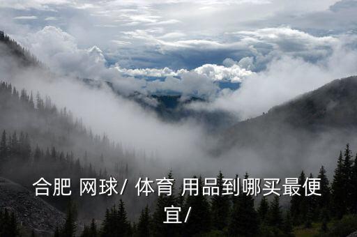 体育用品网球哪里有卖