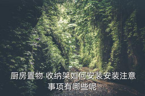 厨房用具收纳架放炒,厨房rack怎么收纳?